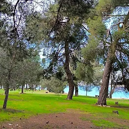 Papalina 3*
